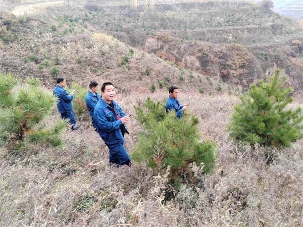 图片17.jpg