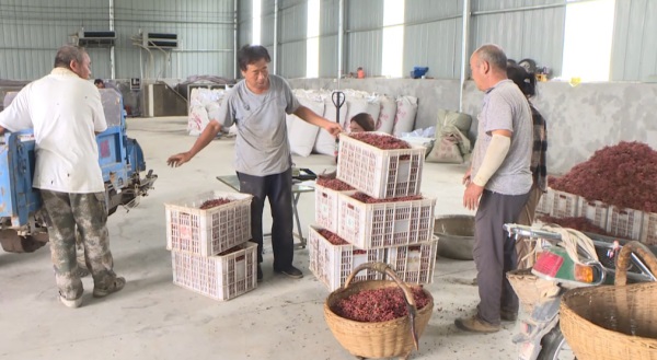 202308311712571089.jpg 382040ed35d74a34be2b4544bce8e70a.jpg