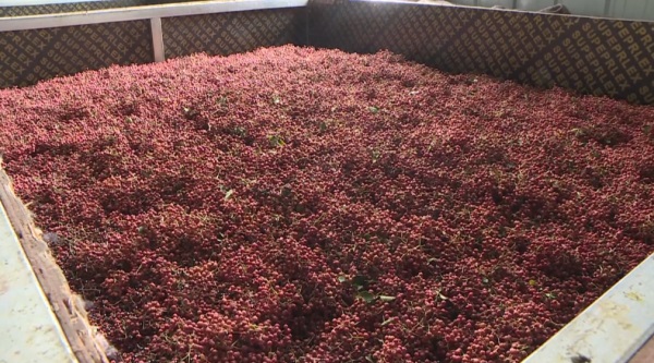 202308311713101194.jpg 1b93f70ad1514f4da172050eaee4f1e7.jpg